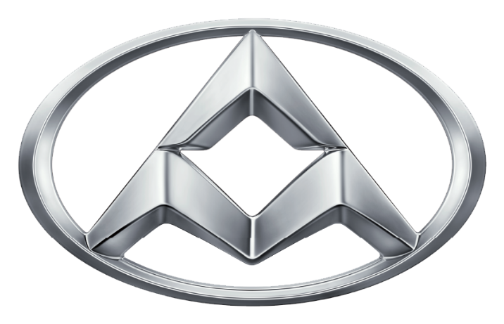 LDV